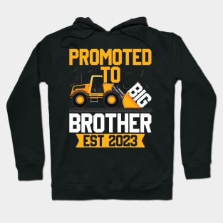 promoted to Big Bro 2023  I Leveled up to Big Brother 2023 Hoodie